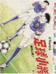 心动的信号